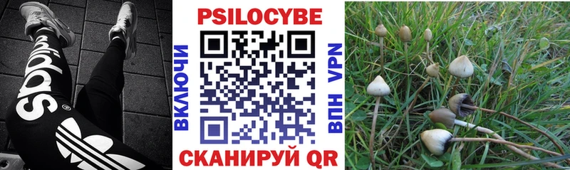 Псилоцибиновые грибы мухоморы  Дальнереченск 