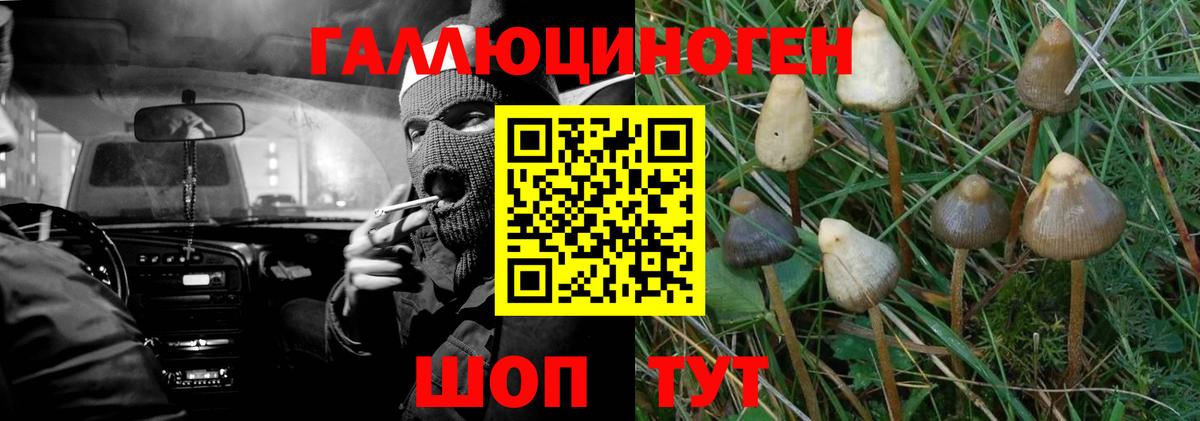 Дальнереченск  Псилоцибиновые грибы прущие грибы  Вход с VPN  Галлюциногенные грибы MAGIC MUSHROOMS 